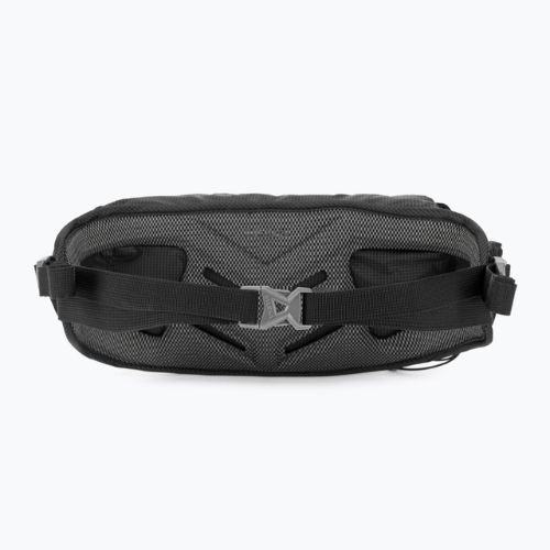 Salewa Lite Train Hipbelt kidney sachet black 00-0000001269