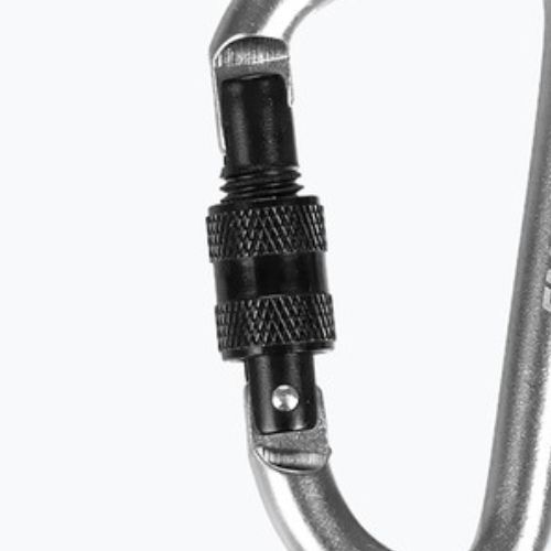 Salewa D-Shape Carbiner With Screw silver 00-0000034102