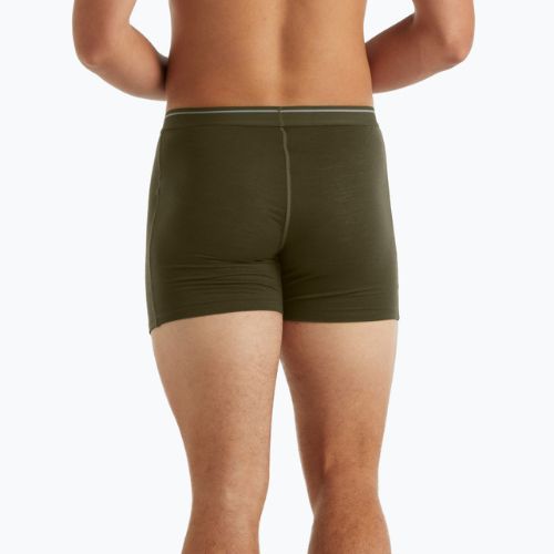 Men's thermal boxer shorts icebreaker Anatomica Loden 103029