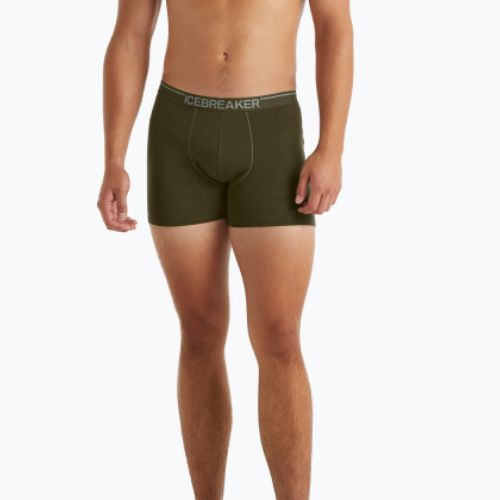 Men's thermal boxer shorts icebreaker Anatomica Loden 103029
