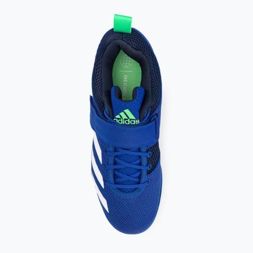 adidas Powerlift 5 weightlifting shoes blue GY8922