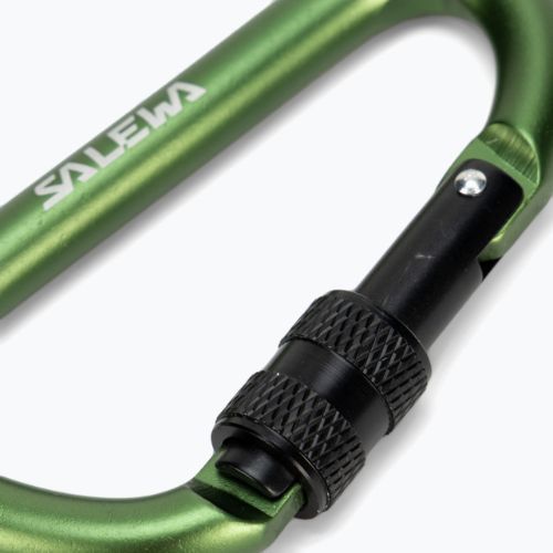 Salewa D-Shape Carbiner With Screw green 00-0000034102