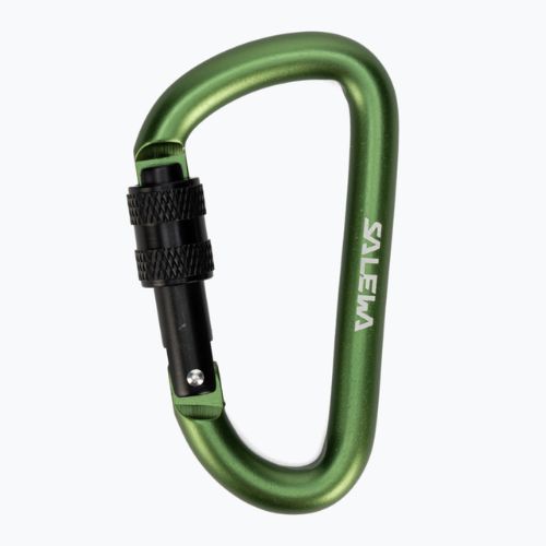 Salewa D-Shape Carbiner With Screw green 00-0000034102