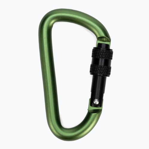 Salewa D-Shape Carbiner With Screw green 00-0000034102