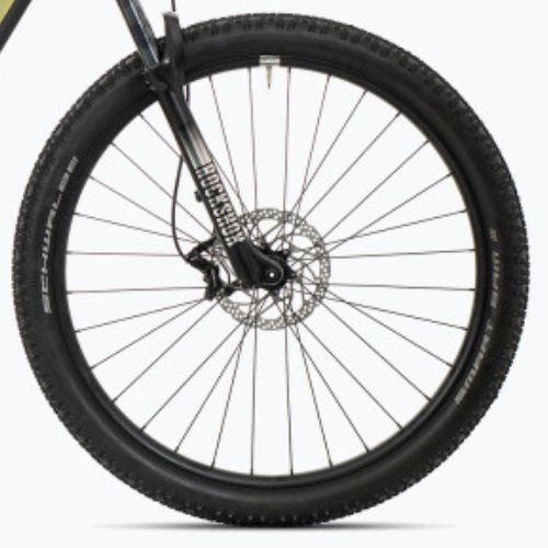 Electric bicycle Superior eXF 8089 green 801.2022.79018