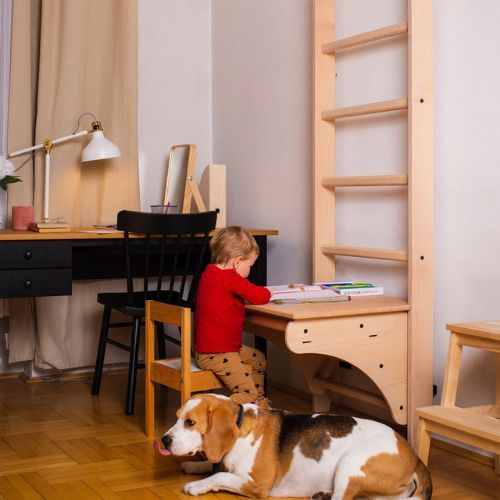 BenchK bronze gymnastic ladder BK-112