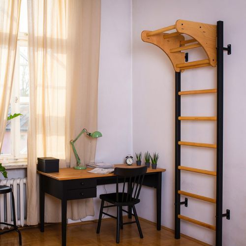 BenchK gymnastics ladder black BK-211B