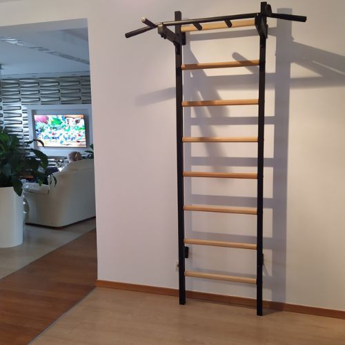 BenchK gymnastics ladder black BK-221B
