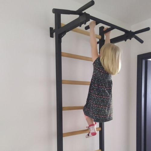 BenchK gymnastics ladder black BK-221B