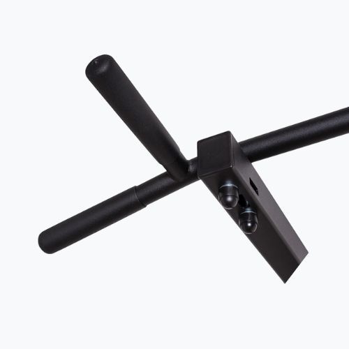 BenchK gymnastics ladder black BK-221B+A076