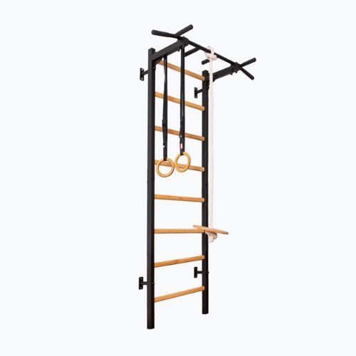 BenchK gymnastics ladder black BK-221B+A076