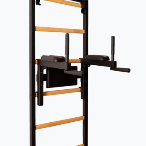 BenchK gymnastics ladder black BK-232B