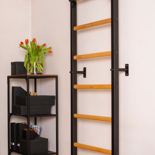 BenchK gymnastics ladder black BK-731B