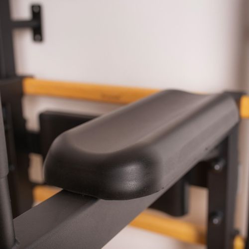 BenchK gymnastics ladder black BK-732B