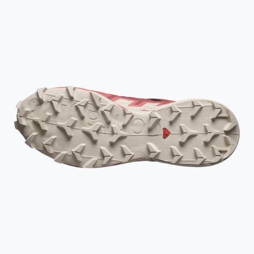 Women's running shoes Salomon Speedcross 6 GTX black/cow hide/faded rose