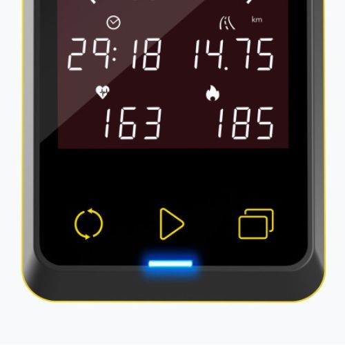 Horizon Fitness GR console