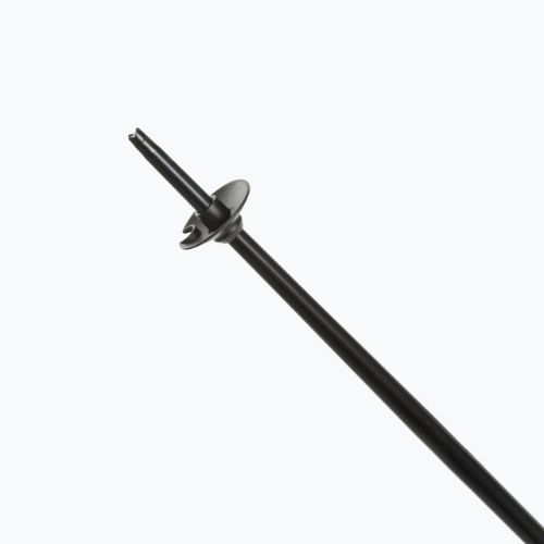 Fizan Storm blue ski poles