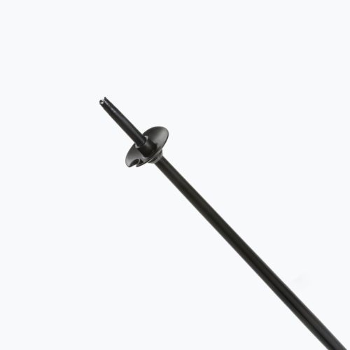 Fizan Action Pro black ski poles