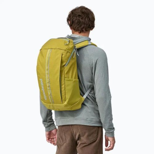 Patagonia Black Hole Pack 25 l shrub green hiking backpack