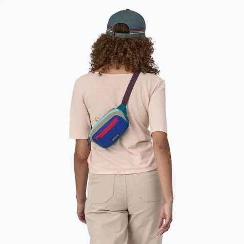 Patagonia Ultralight Black Hole Mini Hip Pack 1 l patchwork/belay blue