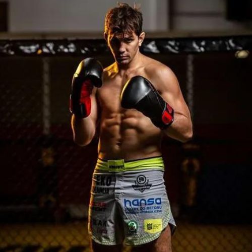 DBX BUSHIDO "Hammer - Red" Muay Thai boxing gloves black/red