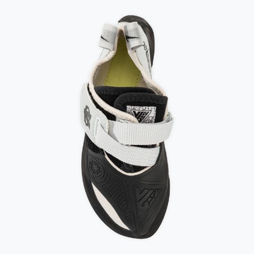 Women's climbing shoe Evolv V6 LV grey/white
