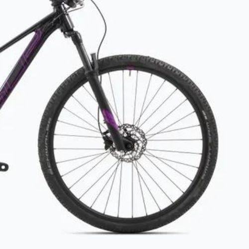 Women's mountain bicycle Superior XC 879 W gloss black rainbow/purple