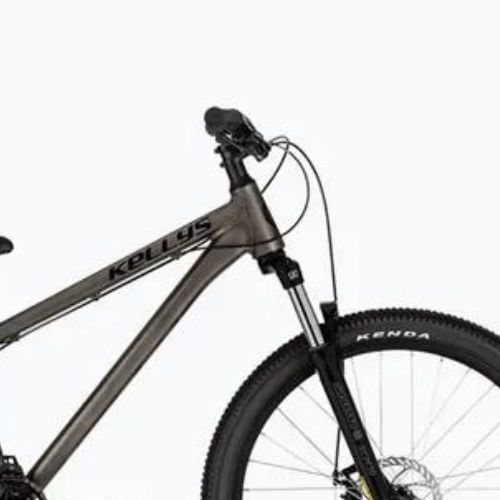 Kellys Whip 10 raw mountain bike