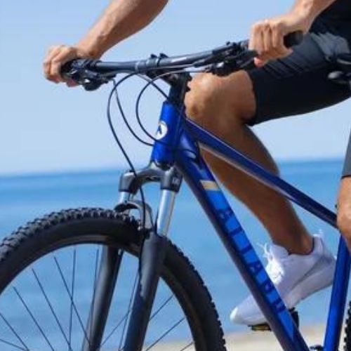 ATTABO ALPE 3.0 men's mountain bike blue