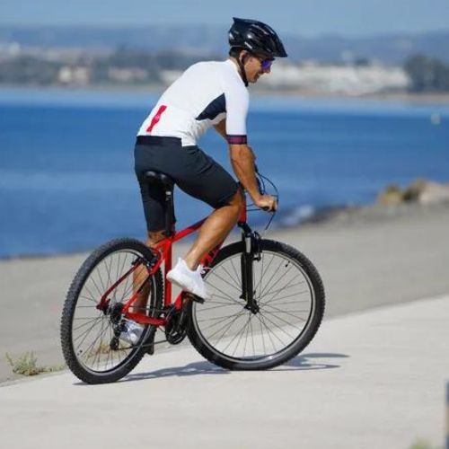 ATTABO men's mountain bike ALPE 1.0 19" red
