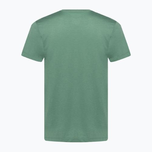 Men's Nike Dri-Fit Fitness training t-shirt bicoastal