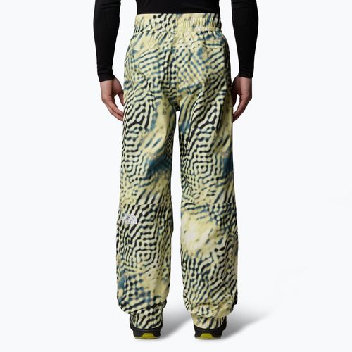 Men's ski trousers The North Face Build Up nettle the lift print