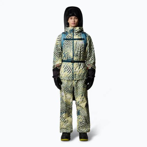 Men's ski trousers The North Face Build Up nettle the lift print