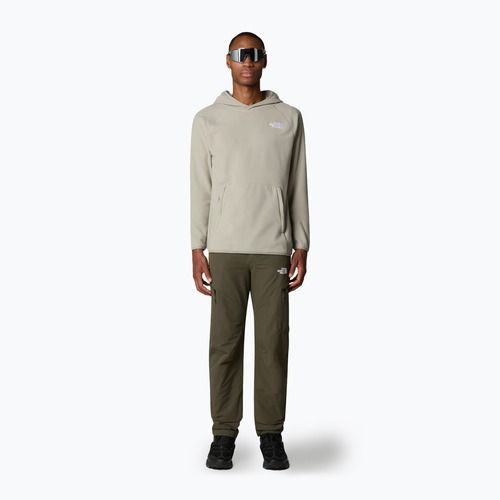 Men's sweatshirt The North Face 100 Glacier Hoodie clay grey