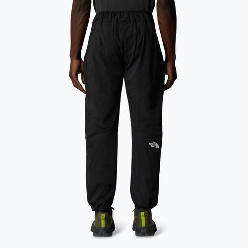 Men's trekking trousers The North Face Alpine Ridge Regular Tapered black/npf