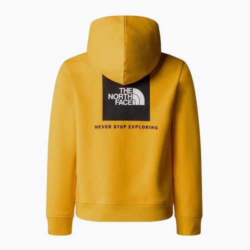 Children's sweatshirt The North Face Teen Redbox Regular P/O summit gold
