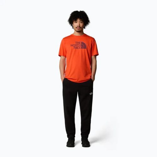 The North Face men's Easy crimson orange/alpine plum t-shirt