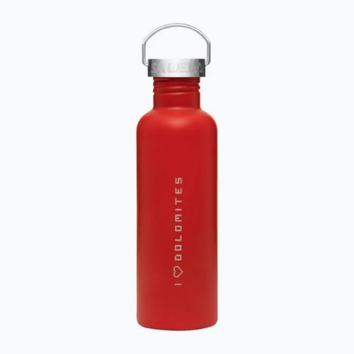 Salewa Aurino 1000 ml flame/dolomites tourist bottle