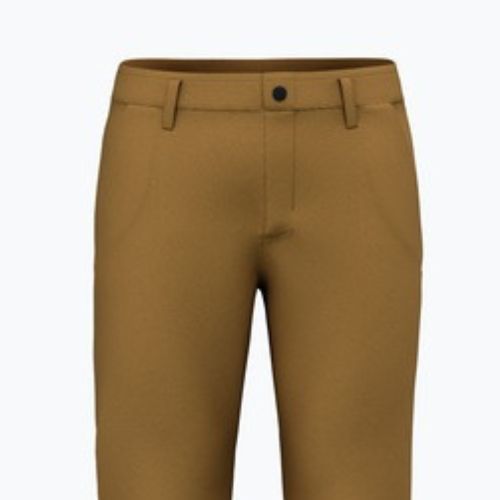 Salewa men's trekking trousers Fanes Hemp golden brown