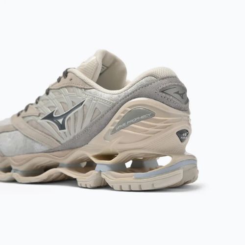 Mizuno Wave Prophecy LS nimbus cloud/magnet/silver cloud shoes