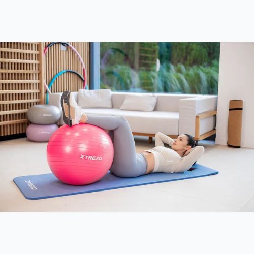 TREXO Gymball TXO-B4Z007-PK 55 cm pink