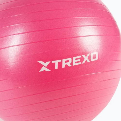 TREXO Gymball TXO-B4Z007-PK 55 cm pink