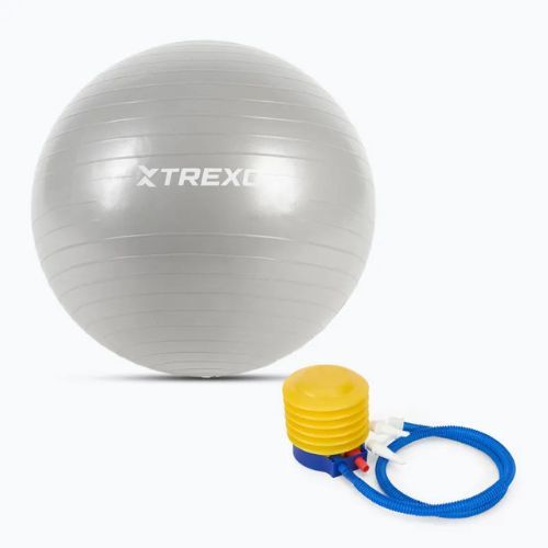 TREXO Gymball TXO-B4Z007-GY 55 cm grey