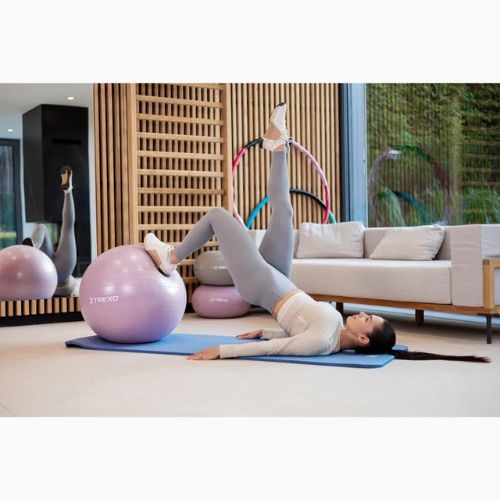 Gymnastic ball XTREXO TXO-B4Z008-VT 65 cm purple