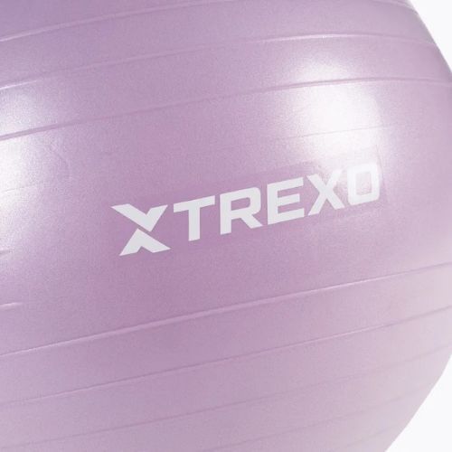 Gymnastic ball TREXO TXO-B4Z008-VT 65 cm purple