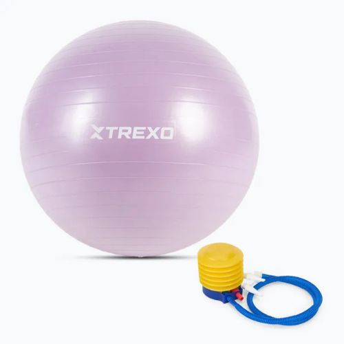 Gymnastic ball TREXO TXO-B4Z008-VT 65 cm purple