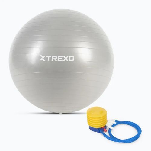 TREXO Gymball TXO-B4Z008-GY 65 cm grey