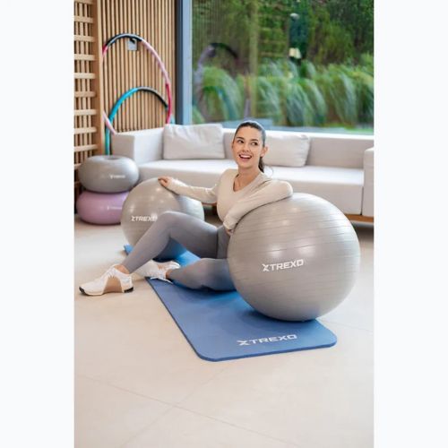 TREXO Gymball TXO-B4Z008-GY 65 cm grey