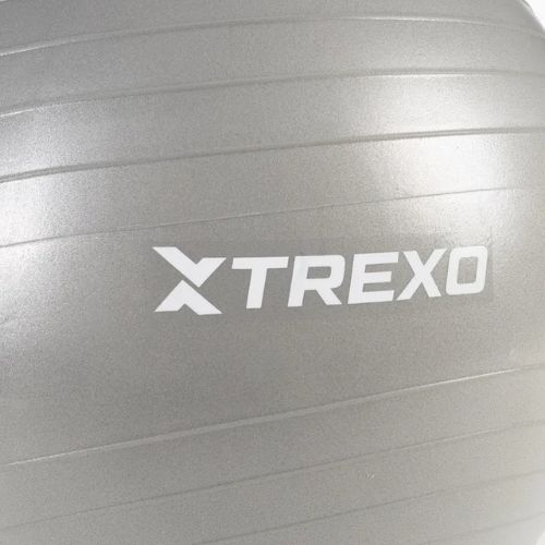 TREXO Gymball TXO-B4Z008-GY 65 cm grey