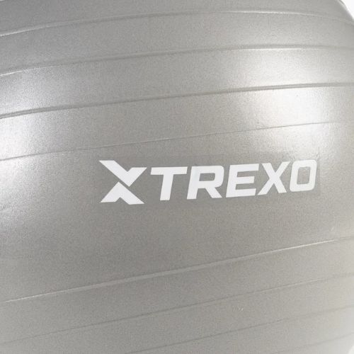 XTREXO Gymball TXO-B4Z008-GY 65 cm grey